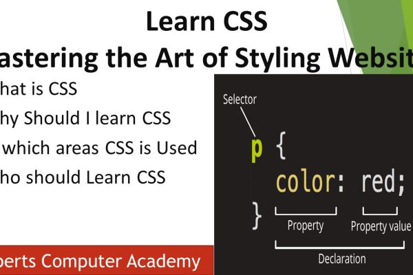 Learn CSS: Mastering the Art of Styling Websites What is CSS?